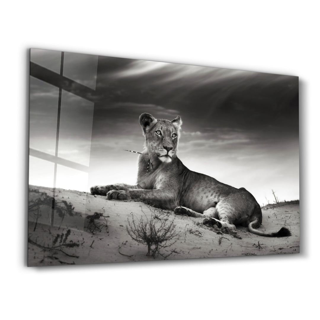 ・"Lioness"・Glass Wall Art - ArtDesigna Glass Printing Wall Art