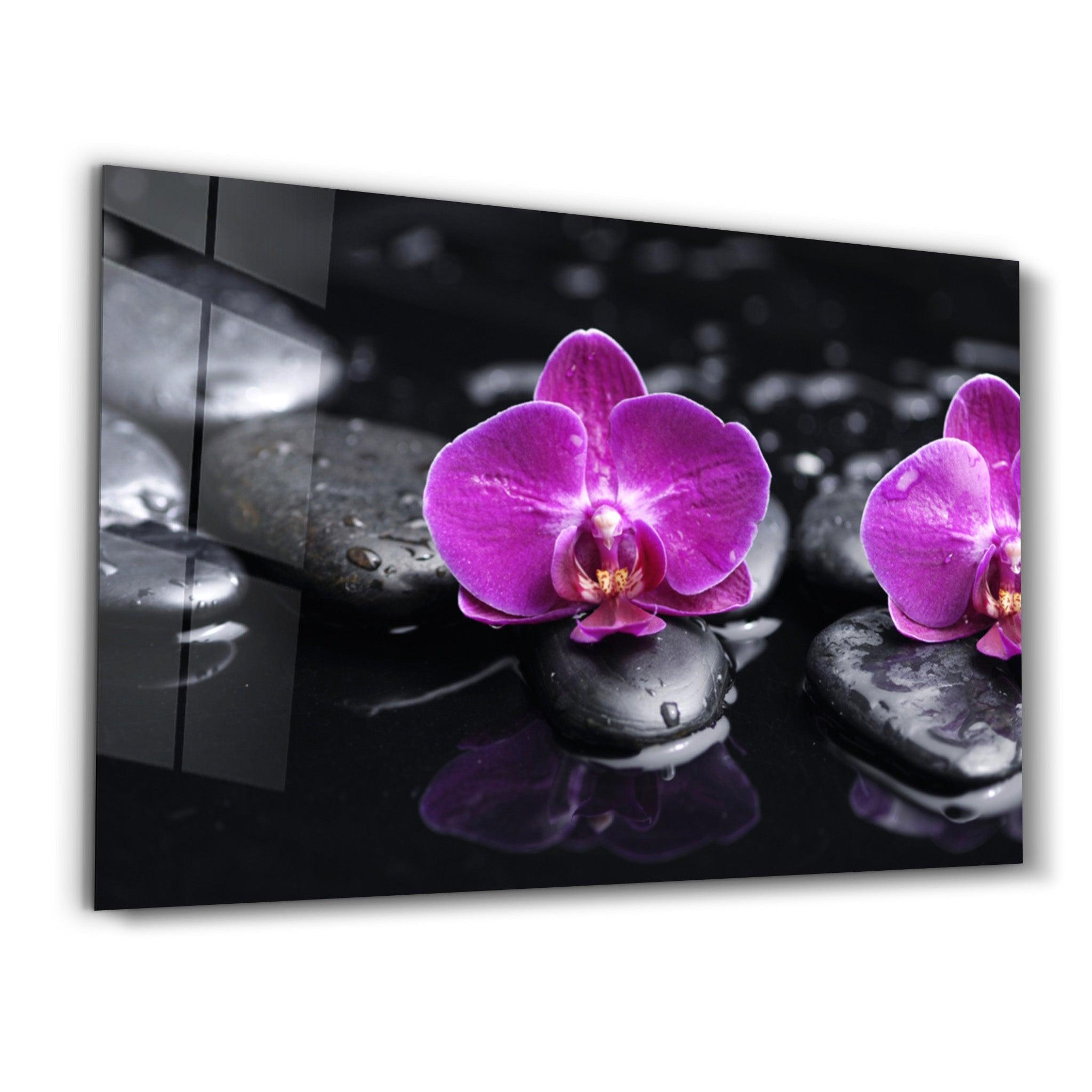 Orchid | Glass Wall Art - ArtDesigna Glass Printing Wall Art