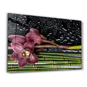 Wet Orchid | Glass Wall Art - ArtDesigna Glass Printing Wall Art