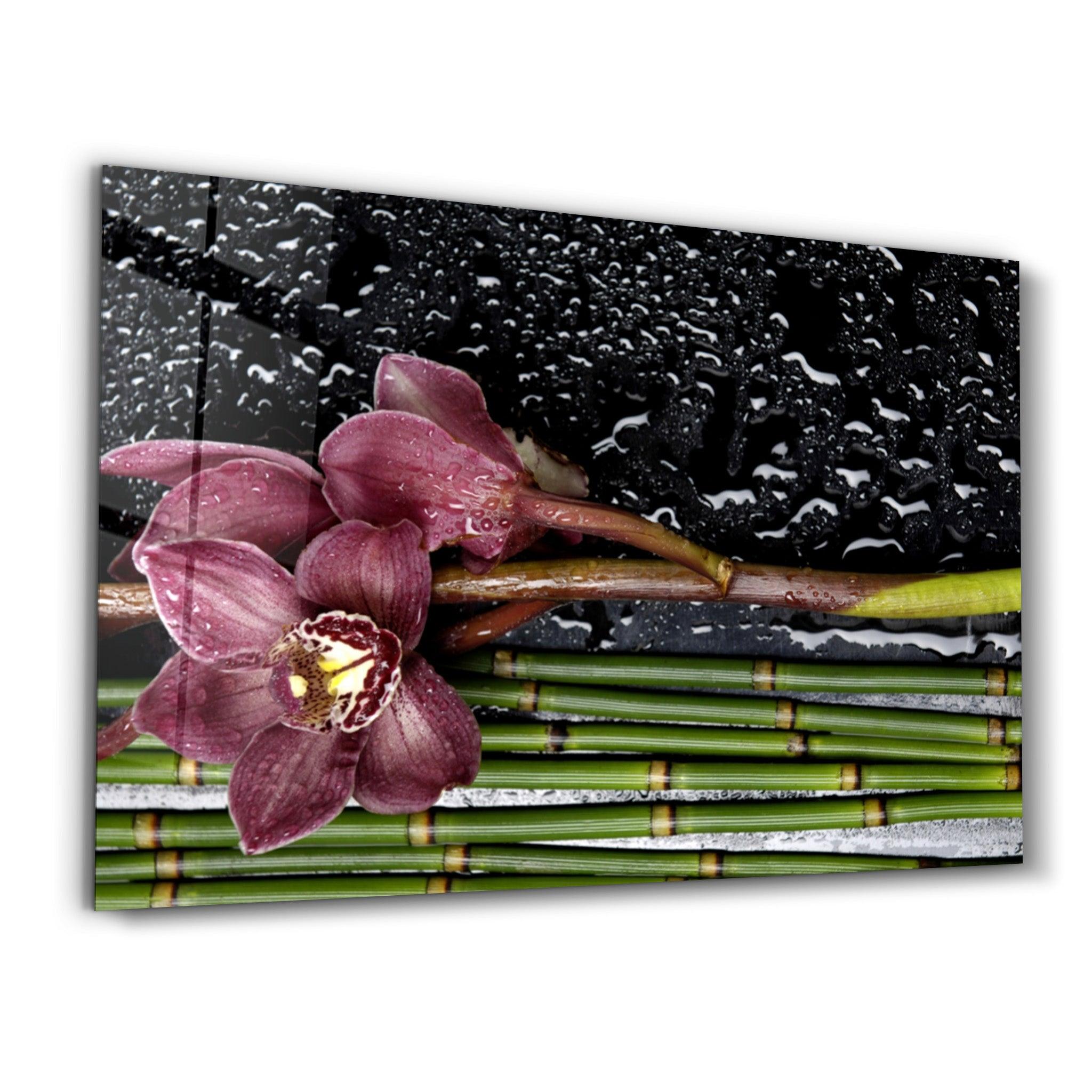 Wet Orchid | Glass Wall Art - Artdesigna