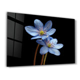 Blue Flowers on Black | Glass Wall Art