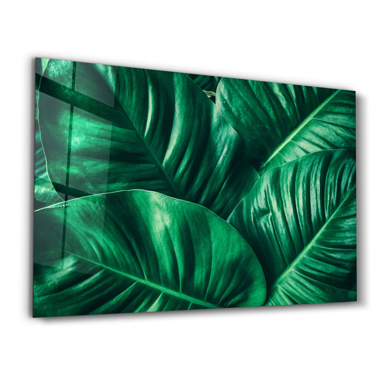 ・"Green Tropical Leaf"・Glass Wall Art - ArtDesigna Glass Printing Wall Art