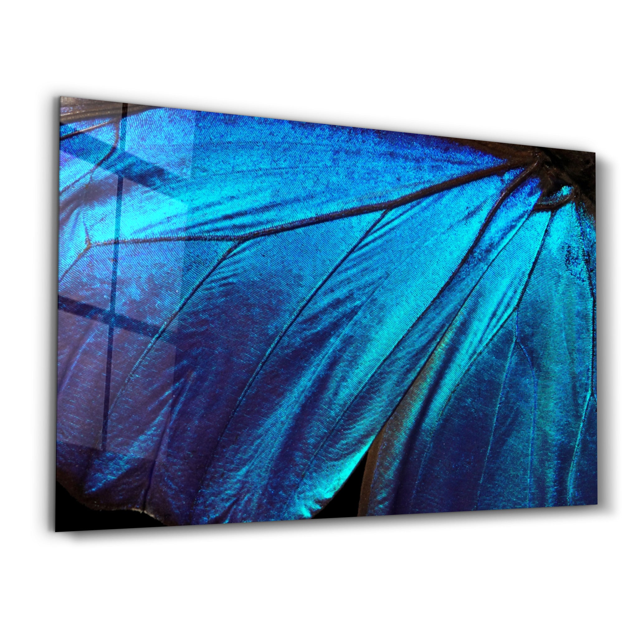 ・"Butterfly Wing"・Glass Wall Art - ArtDesigna Glass Printing Wall Art