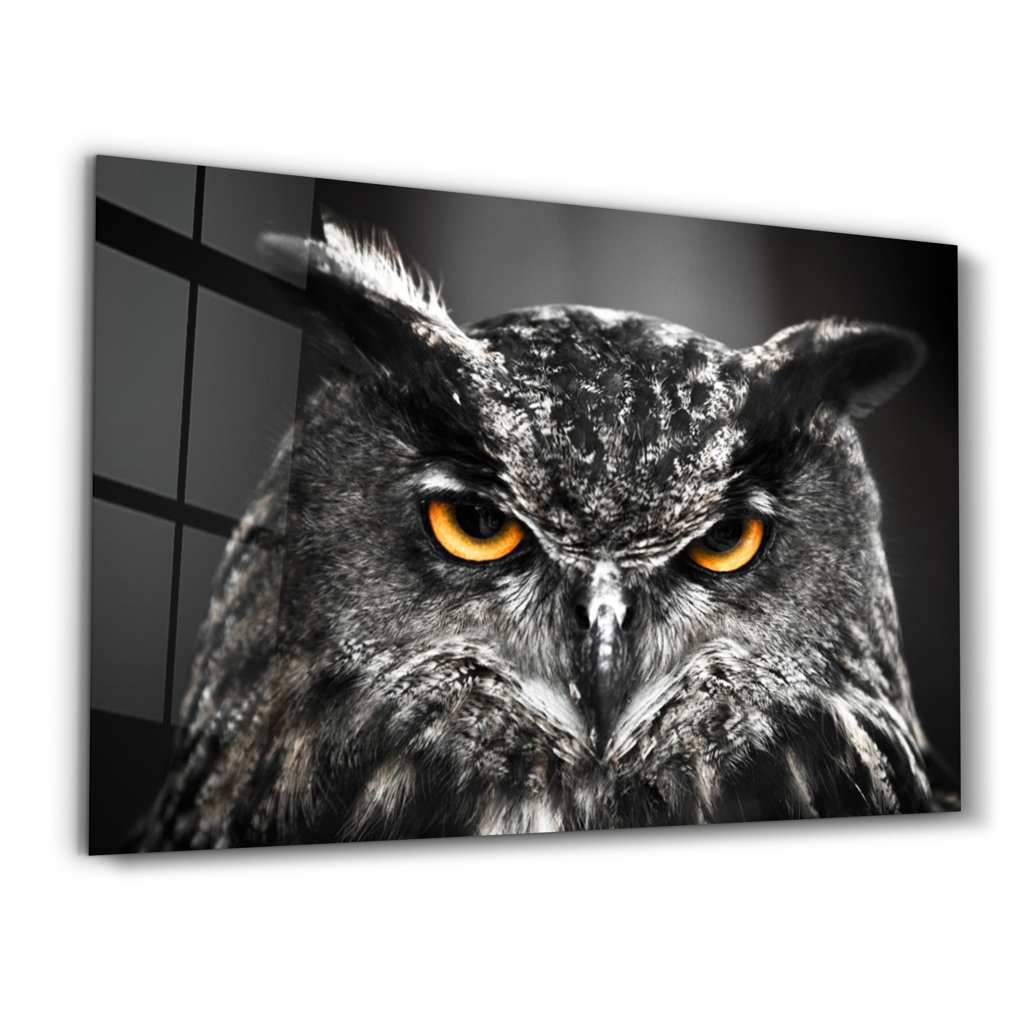 ・"Owl"・Glass Wall Art - ArtDesigna Glass Printing Wall Art