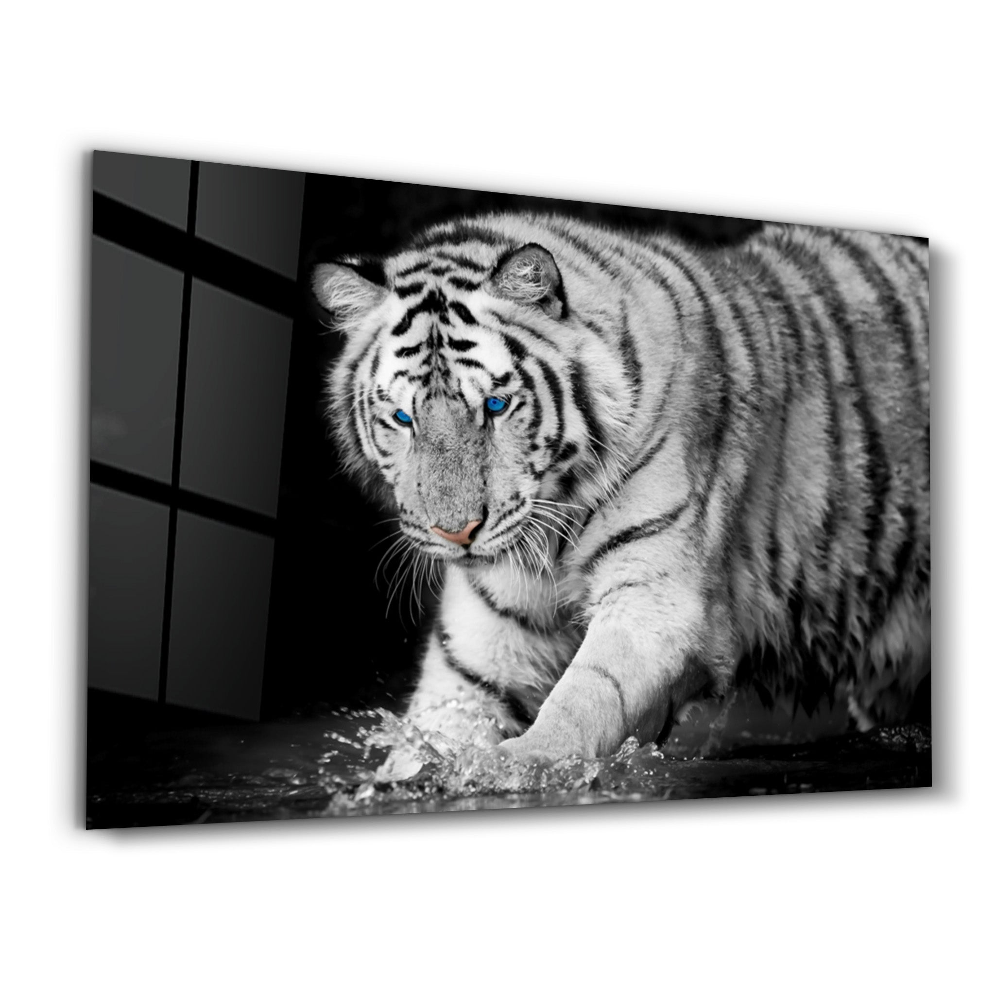 ・"Tiger 2"・Glass Wall Art - ArtDesigna Glass Printing Wall Art