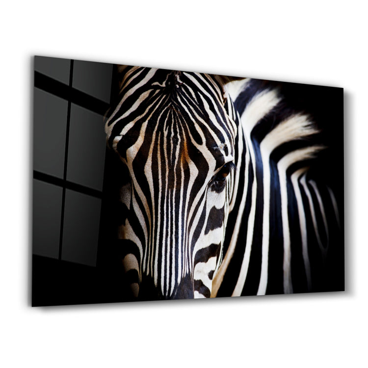 ・"Zebra"・Glass Wall Art - ArtDesigna Glass Printing Wall Art