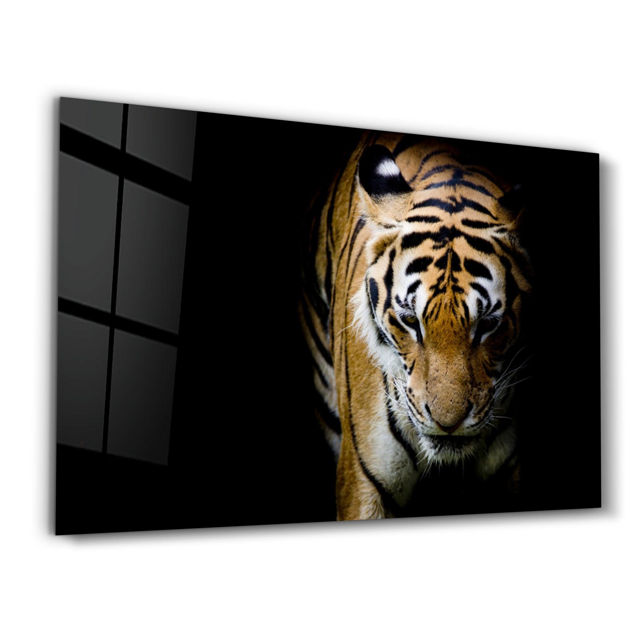・"Tiger 3"・Glass Wall Art - ArtDesigna Glass Printing Wall Art