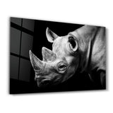 Rhino | Glass Wall Art