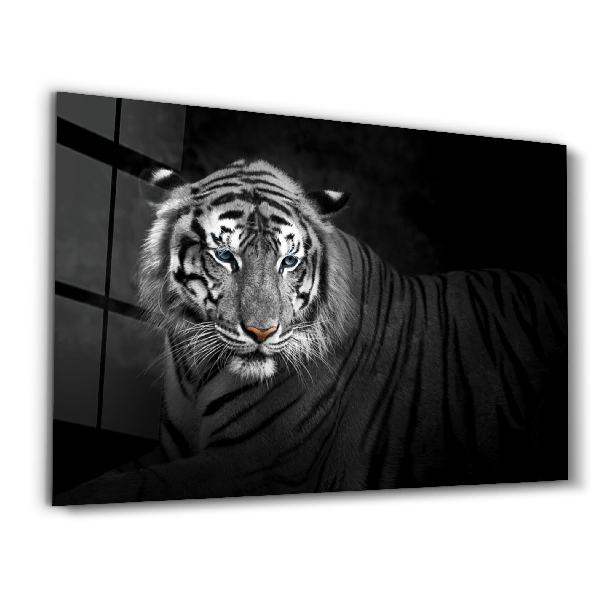 ・"Tiger 4"・Glass Wall Art - ArtDesigna Glass Printing Wall Art