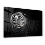 Tiger 4 | Glass Wall Art