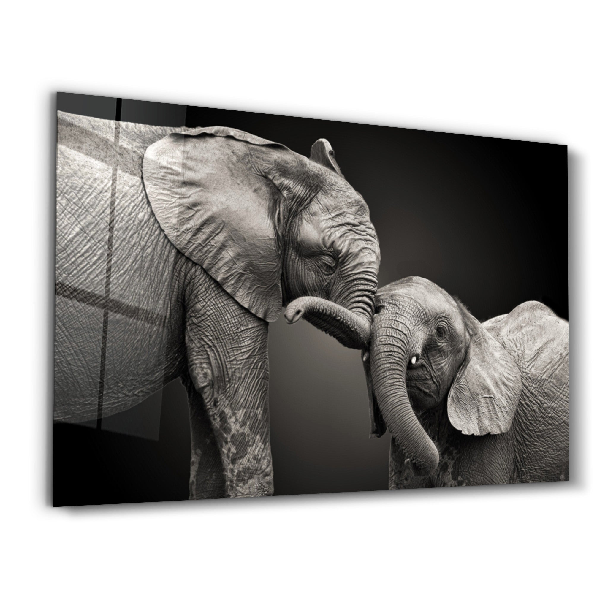 ・"Elephants"・Glass Wall Art - ArtDesigna Glass Printing Wall Art