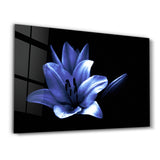 Beautiful Blue Flower | Glass Wall Art