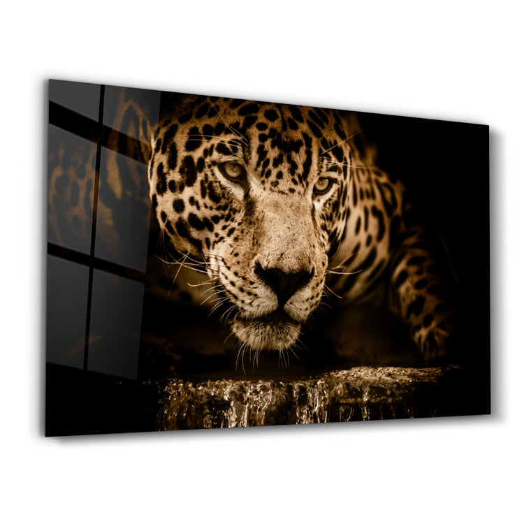 ・"Leopard"・Glass Wall Art - ArtDesigna Glass Printing Wall Art
