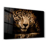 The Watchful Leopard | Glass Wall Art
