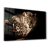 Leopard’s Silent Vigil | Glass Wall Art