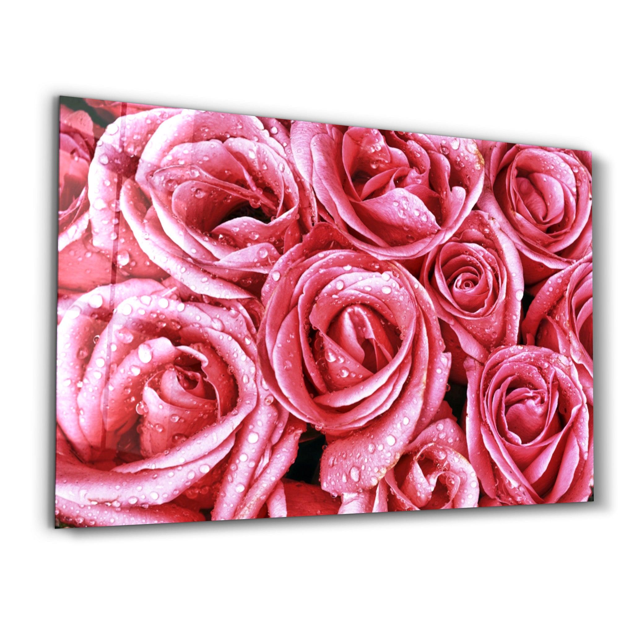 Pink Rose | Glass Wall Art - ArtDesigna Glass Printing Wall Art