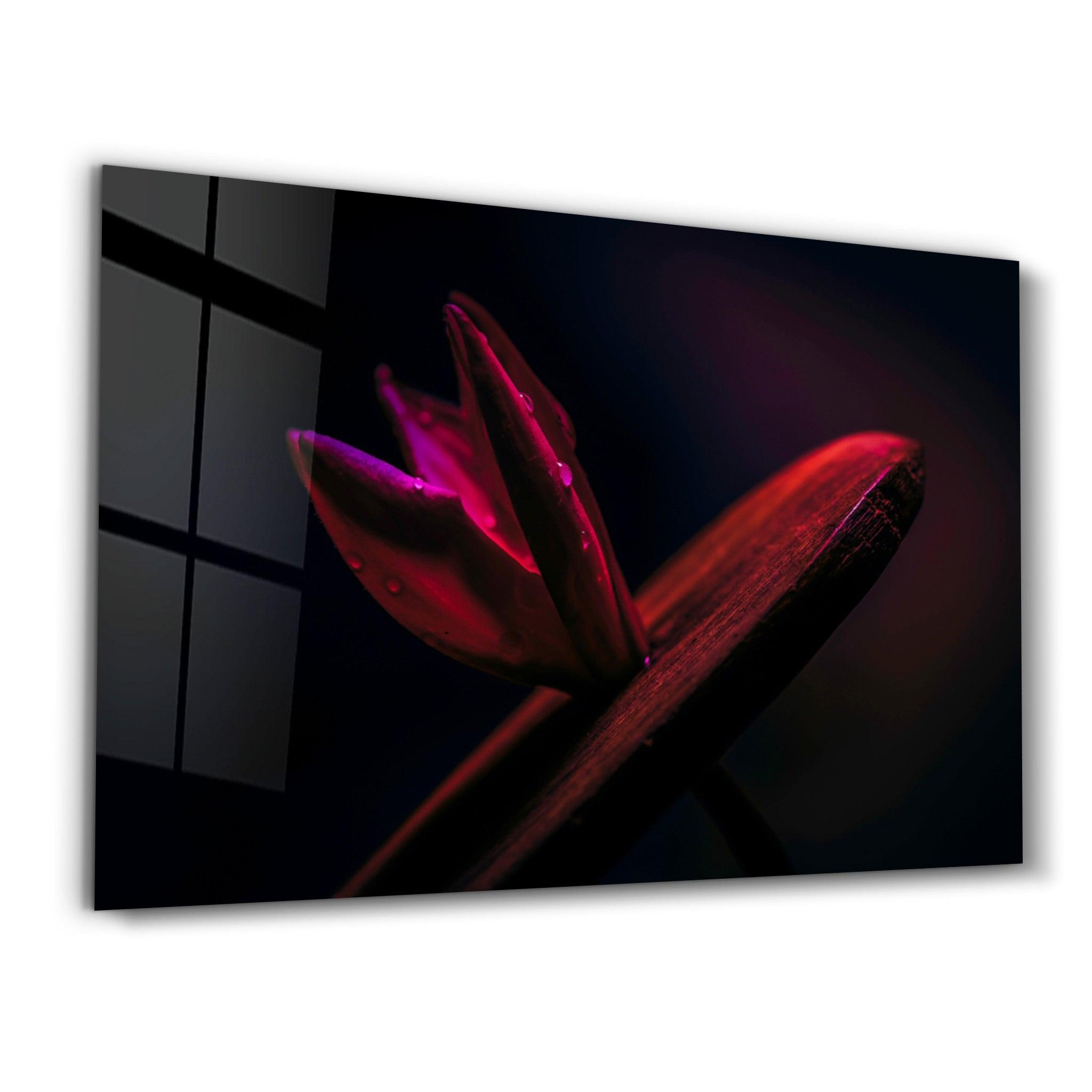 Red Leaf | Glass Wall Art - ArtDesigna Glass Printing Wall Art