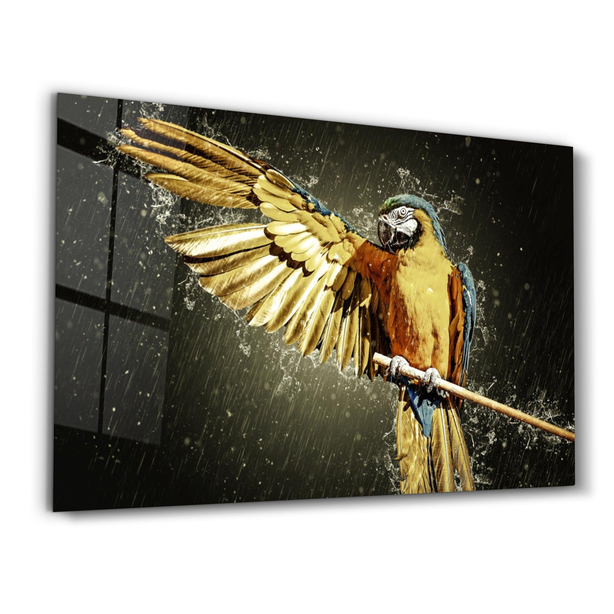 Parrot | Glass Wall Art - ArtDesigna Glass Printing Wall Art