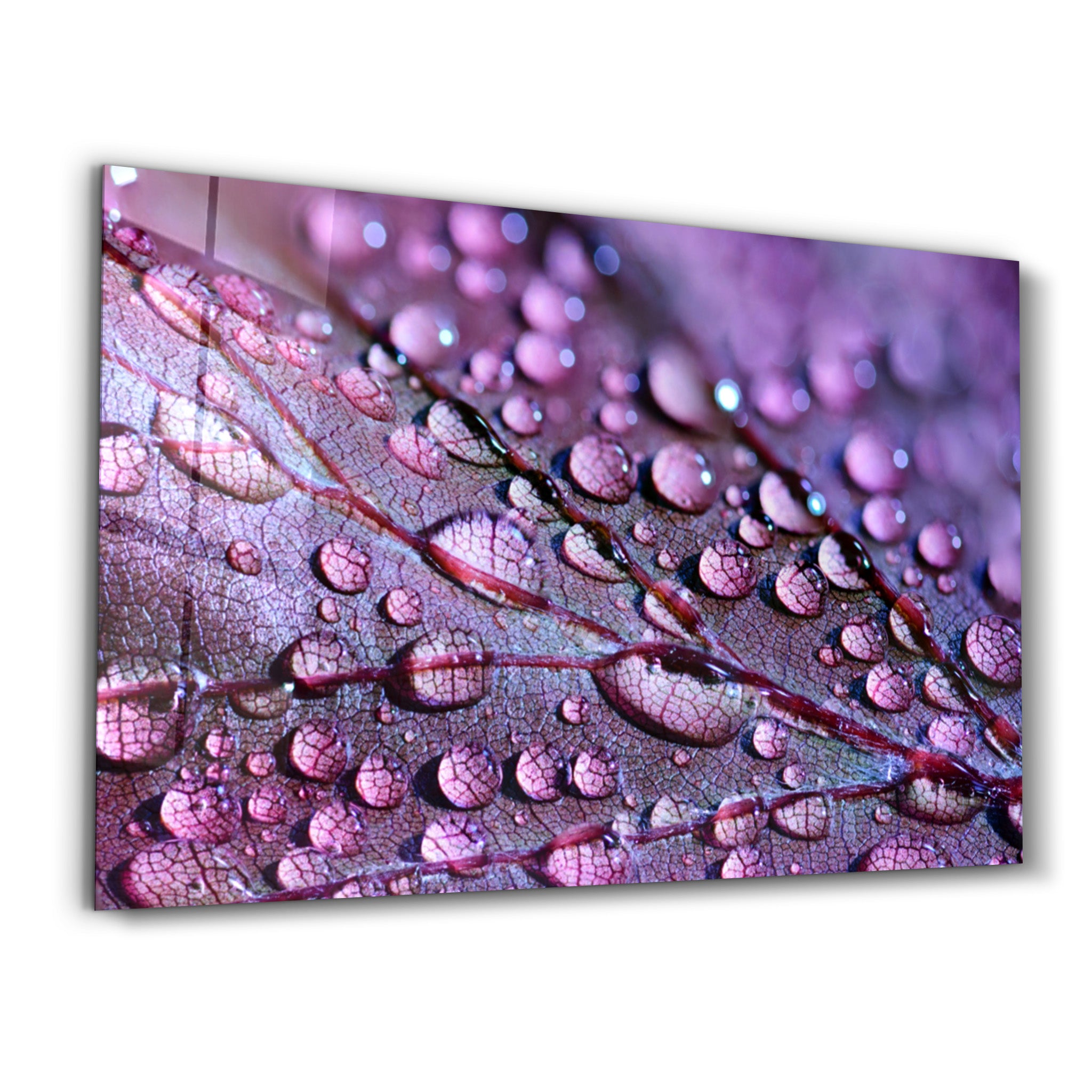 ・"Purple Leaf"・Glass Wall Art - ArtDesigna Glass Printing Wall Art