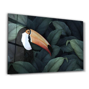Toucan Parrot | Glass Wall Art - ArtDesigna Glass Printing Wall Art