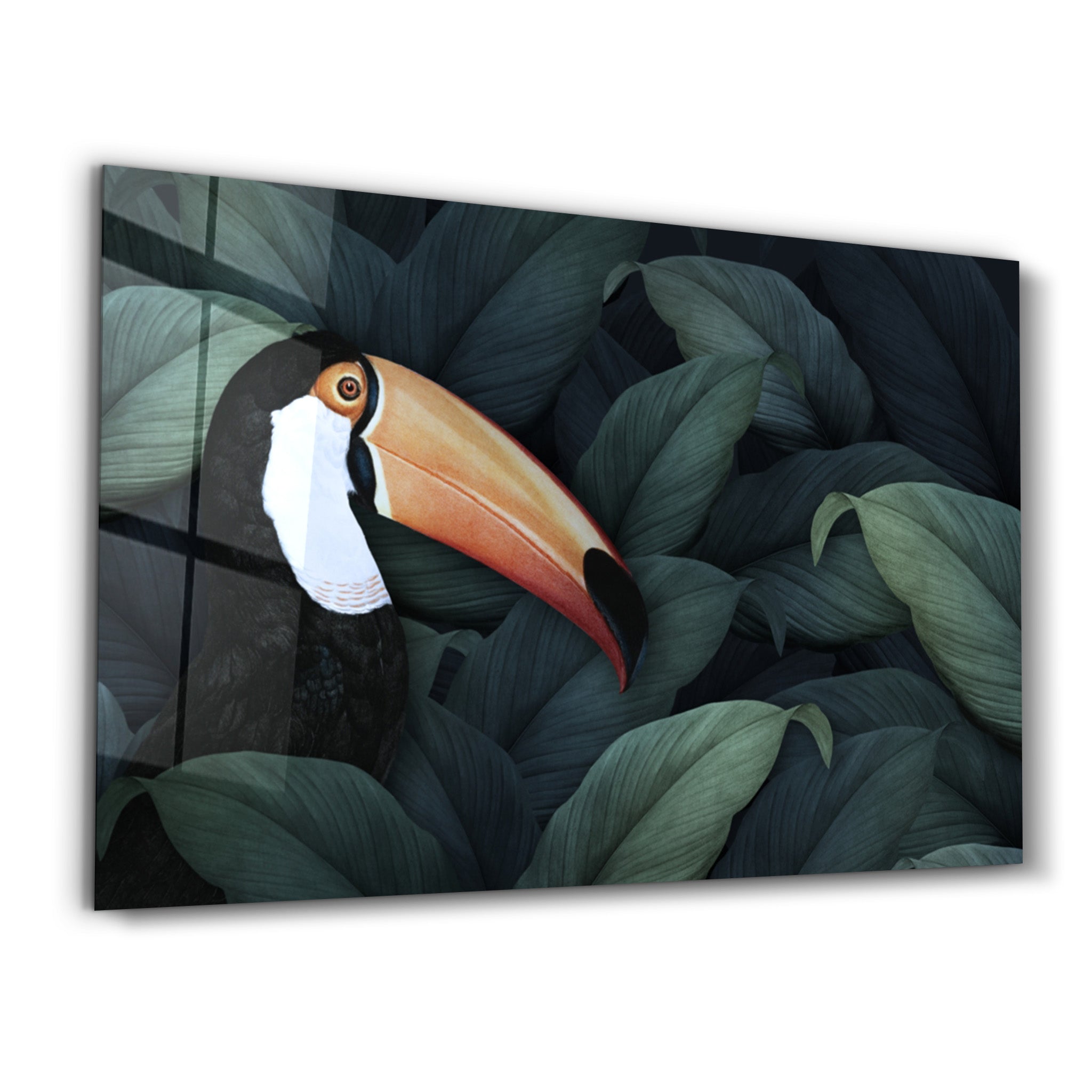 ・"Toucan Parrot"・Glass Wall Art - ArtDesigna Glass Printing Wall Art