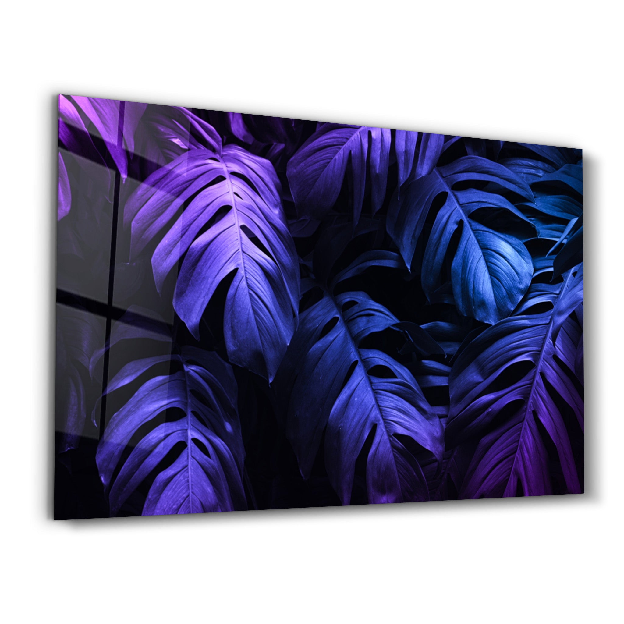 ・"Tropical Leaf"・Glass Wall Art - ArtDesigna Glass Printing Wall Art