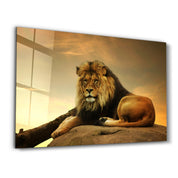 Lion | Glass Wall Art - ArtDesigna Glass Printing Wall Art