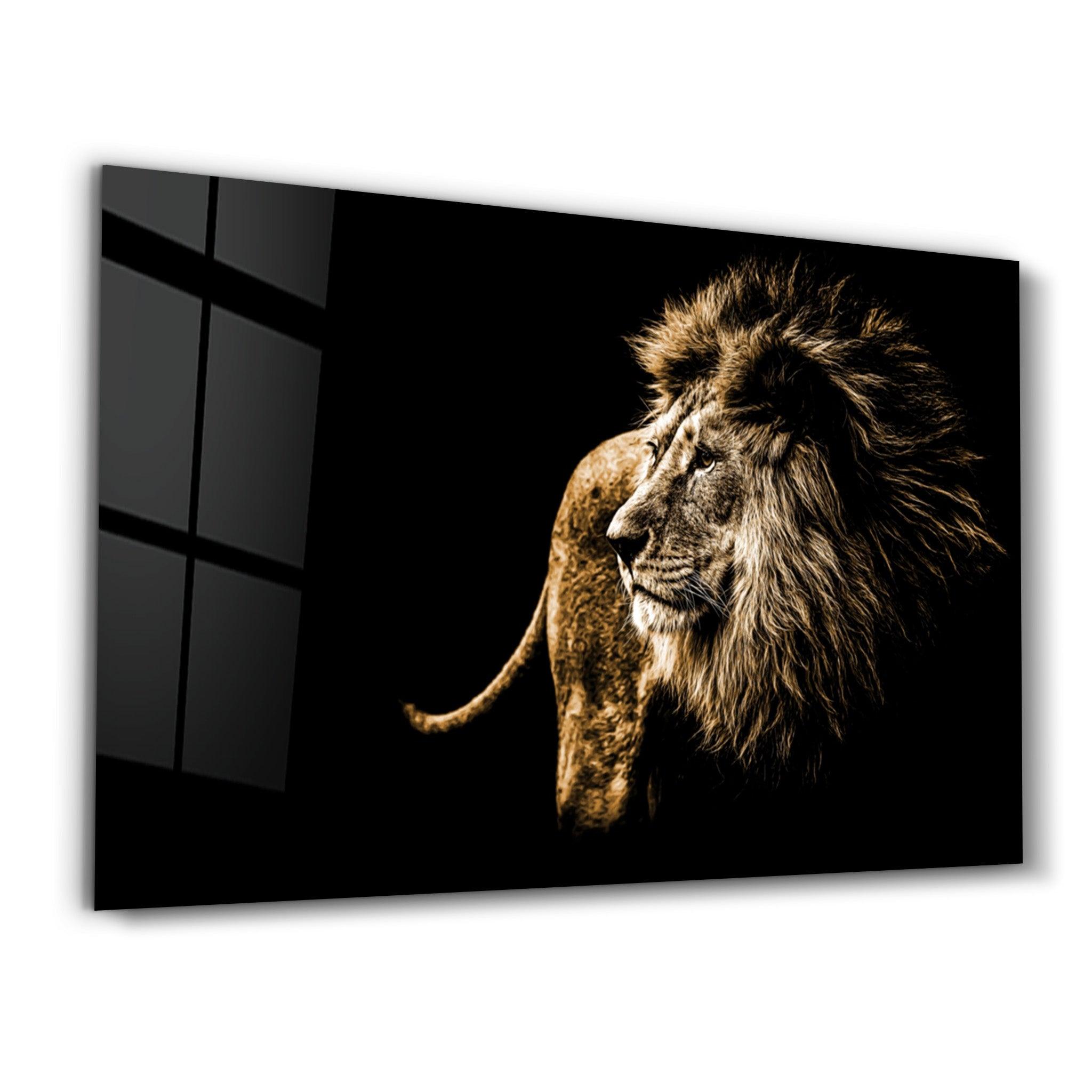 Lion | Glass Wall Art - ArtDesigna Glass Printing Wall Art