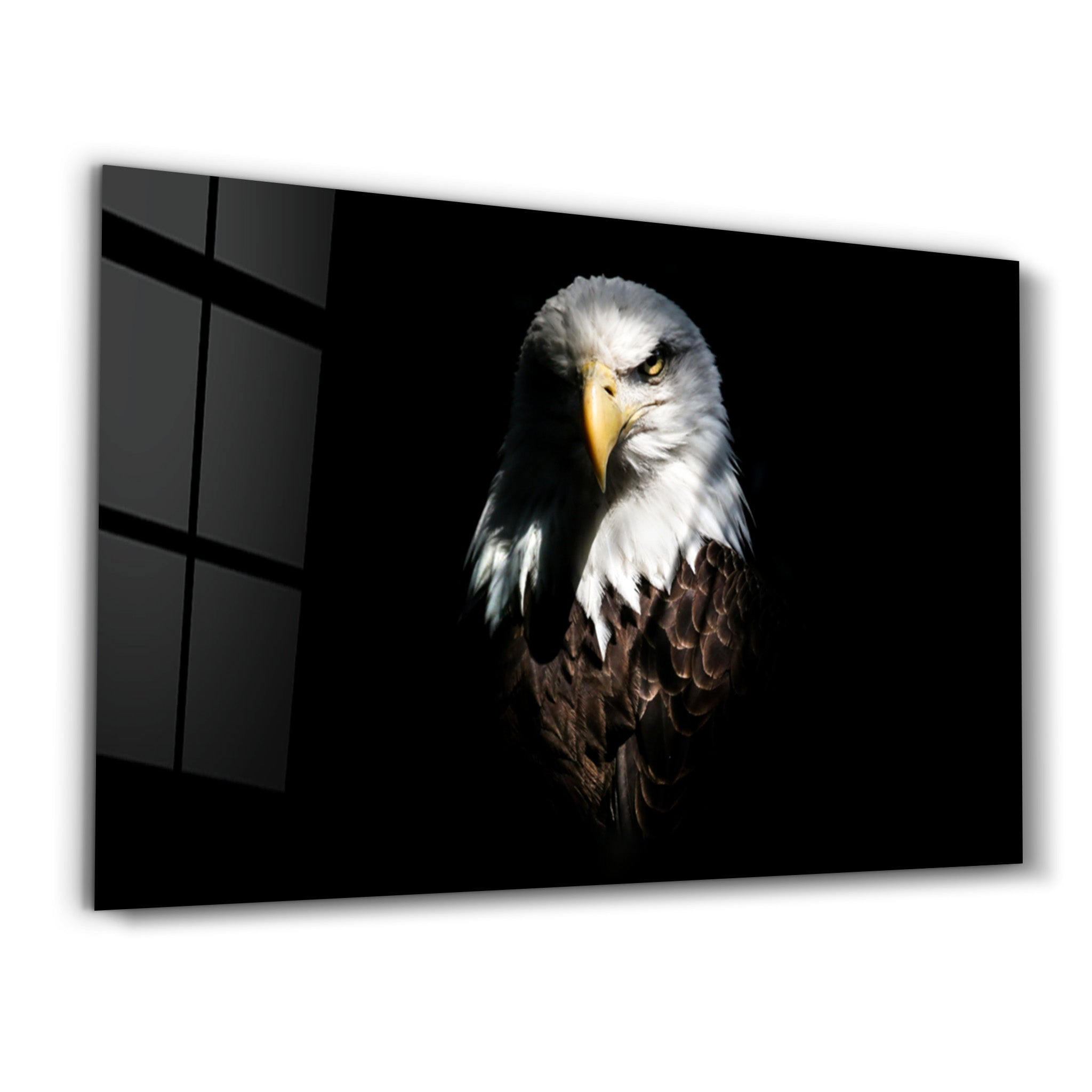 ・"Eagle 1"・Glass Wall Art - ArtDesigna Glass Printing Wall Art