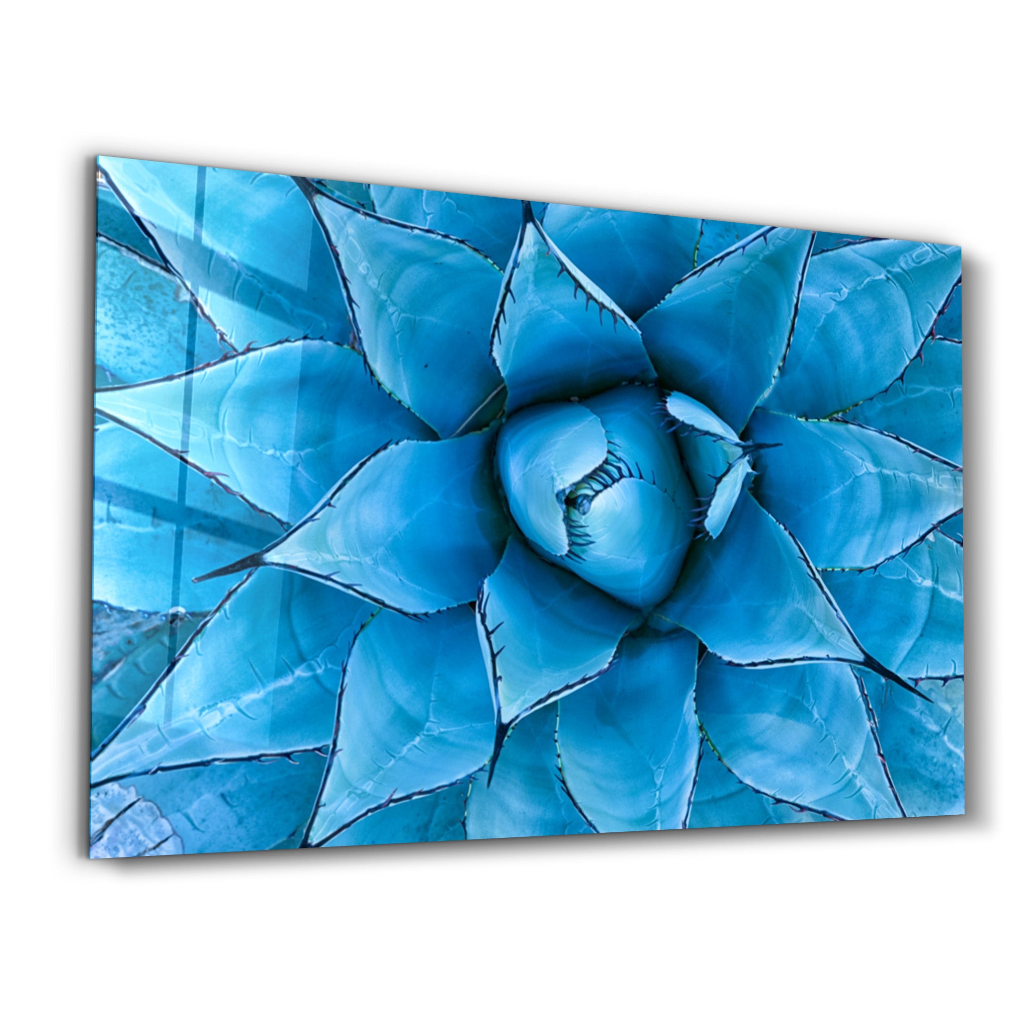 ・"Micro Flower"・Glass Wall Art - ArtDesigna Glass Printing Wall Art