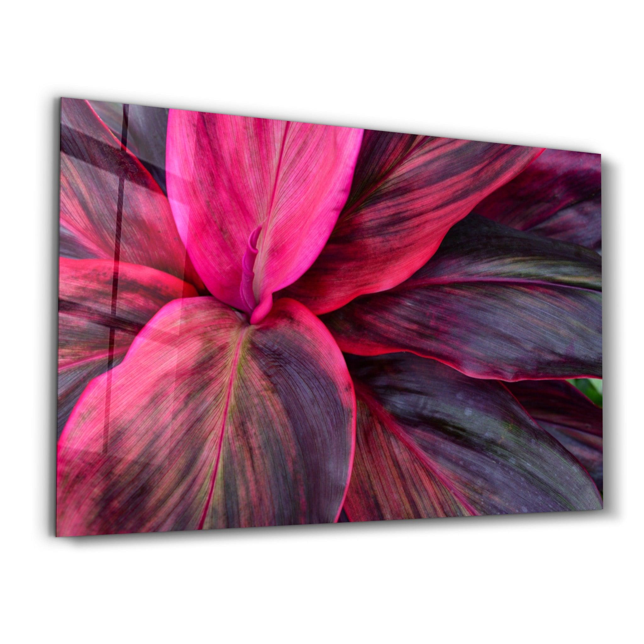 Pink Leaves | Glass Wall Art - ArtDesigna Glass Printing Wall Art