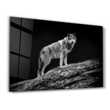 Aplhan | Glass Wall Art