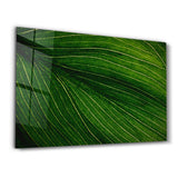 Leafa | Glass Wall Art