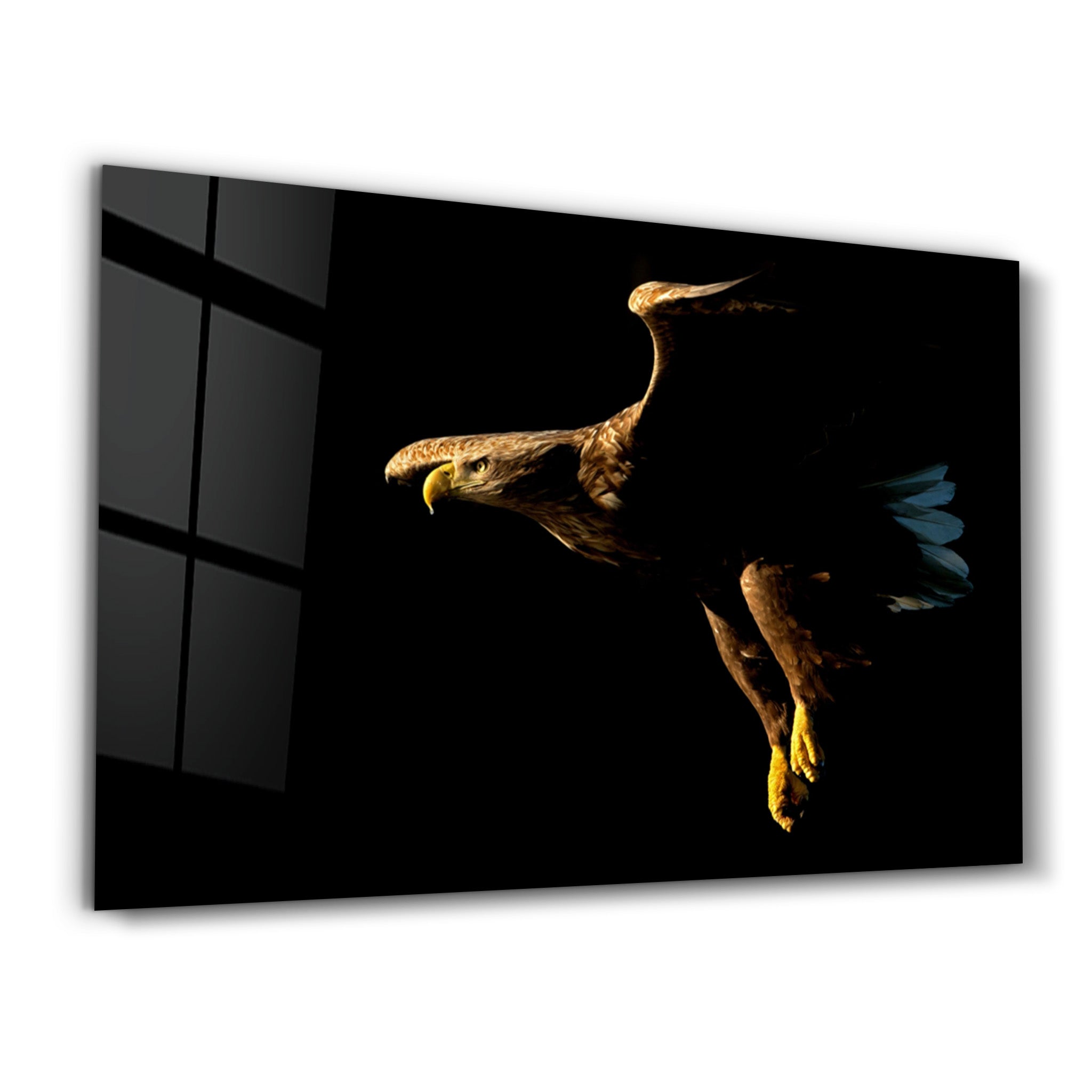 ・"Eagle in Dark"・Glass Wall Art - ArtDesigna Glass Printing Wall Art