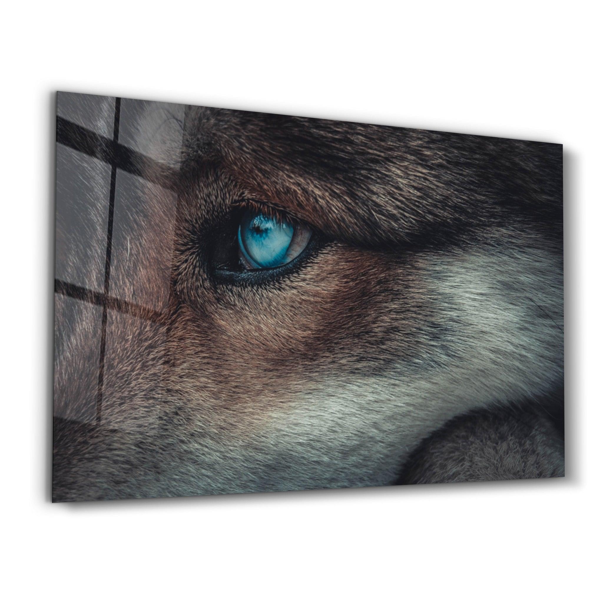 Foxblue | Glass Wall Art - ArtDesigna Glass Printing Wall Art