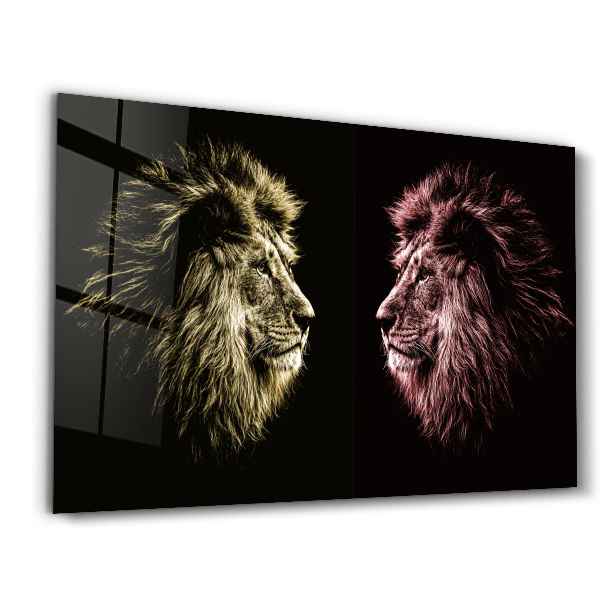 Lions Confrontation YR | Glass Wall Art - ArtDesigna Glass Printing Wall Art