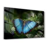 Butterfly Bluewing | Glass Wall Art