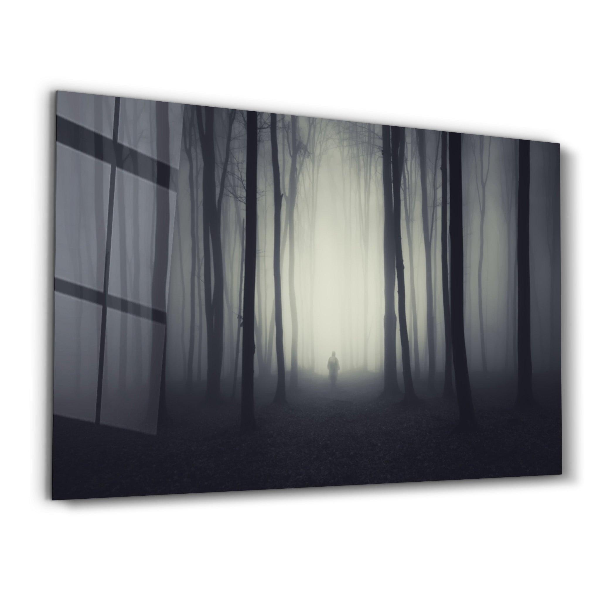 Foggy Path | Glass Wall Art - ArtDesigna Glass Printing Wall Art