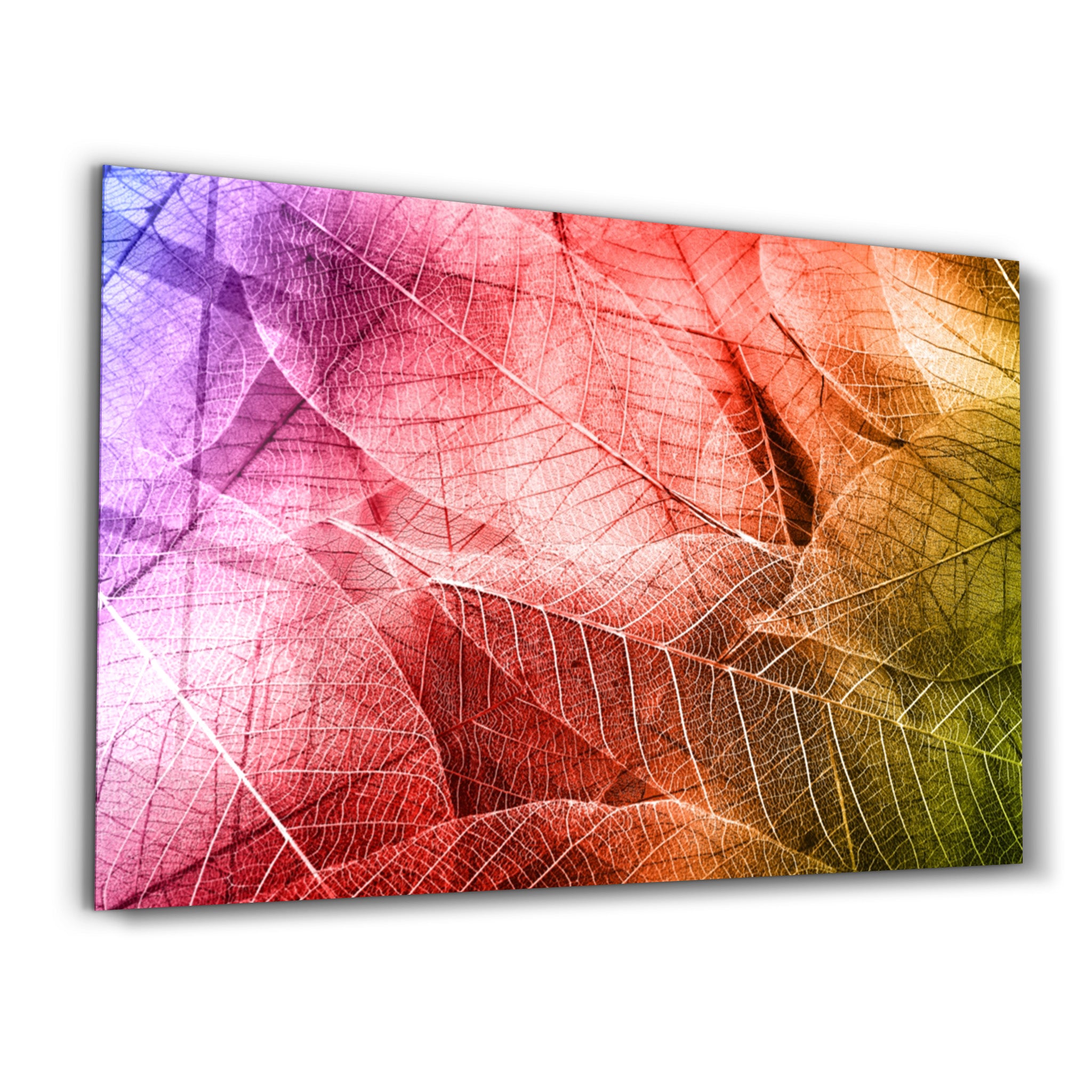 ・"Rainbow Leaves"・Glass Wall Art - ArtDesigna Glass Printing Wall Art