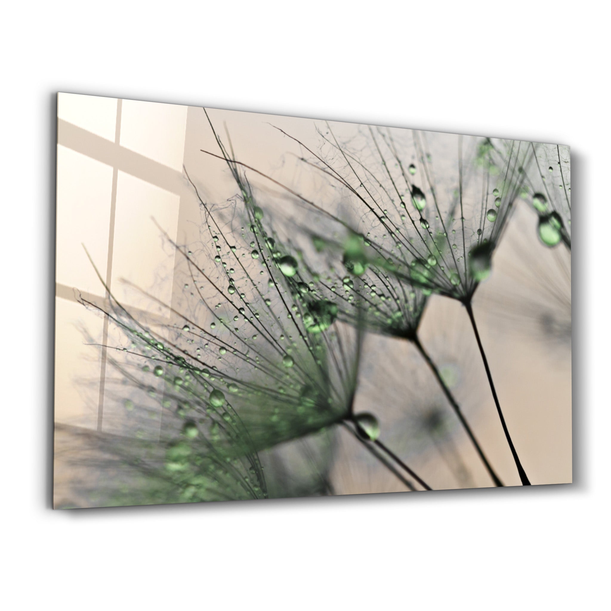 ・"Flower Green"・Glass Wall Art - ArtDesigna Glass Printing Wall Art