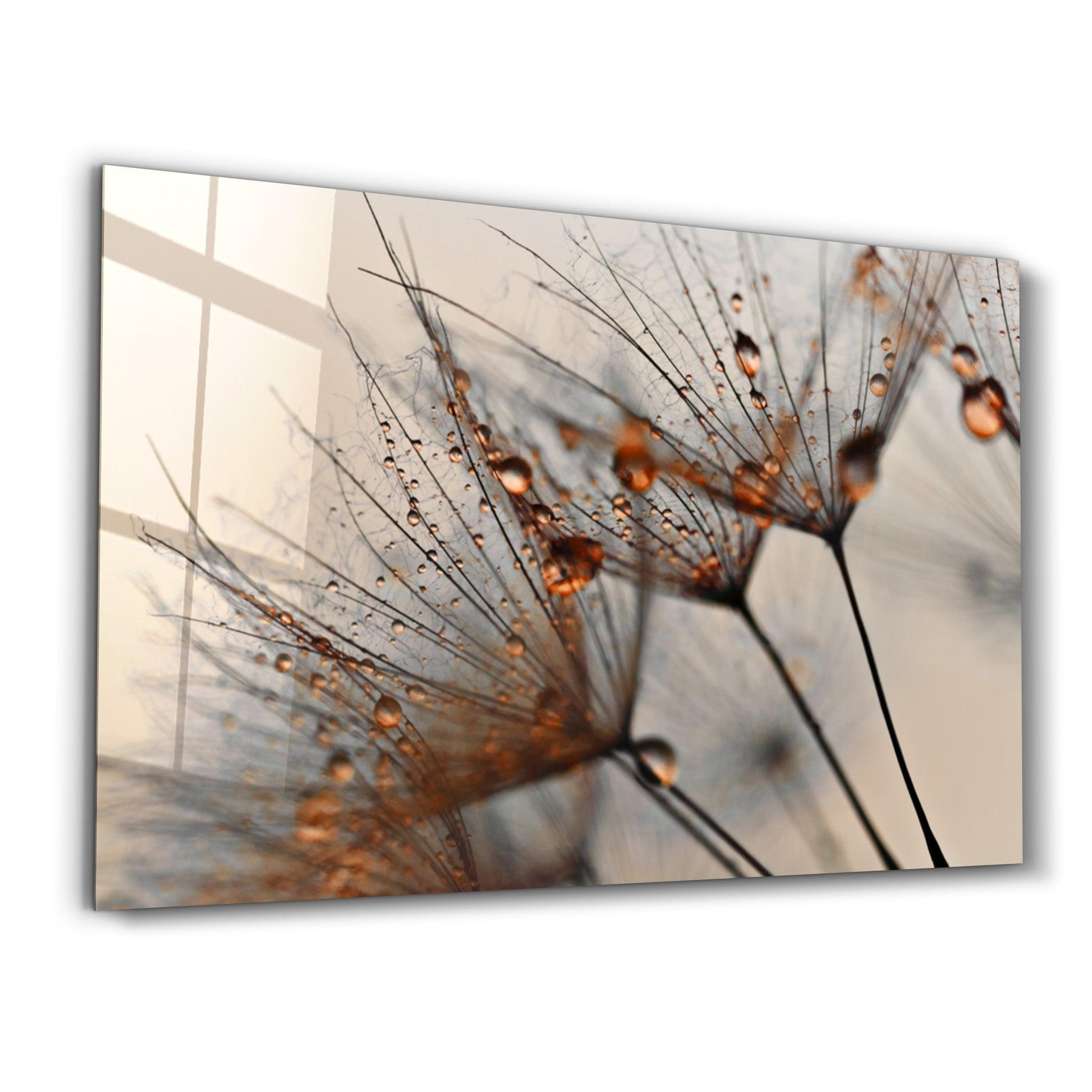 Flower Orange | Glass Wall Art - ArtDesigna Glass Printing Wall Art