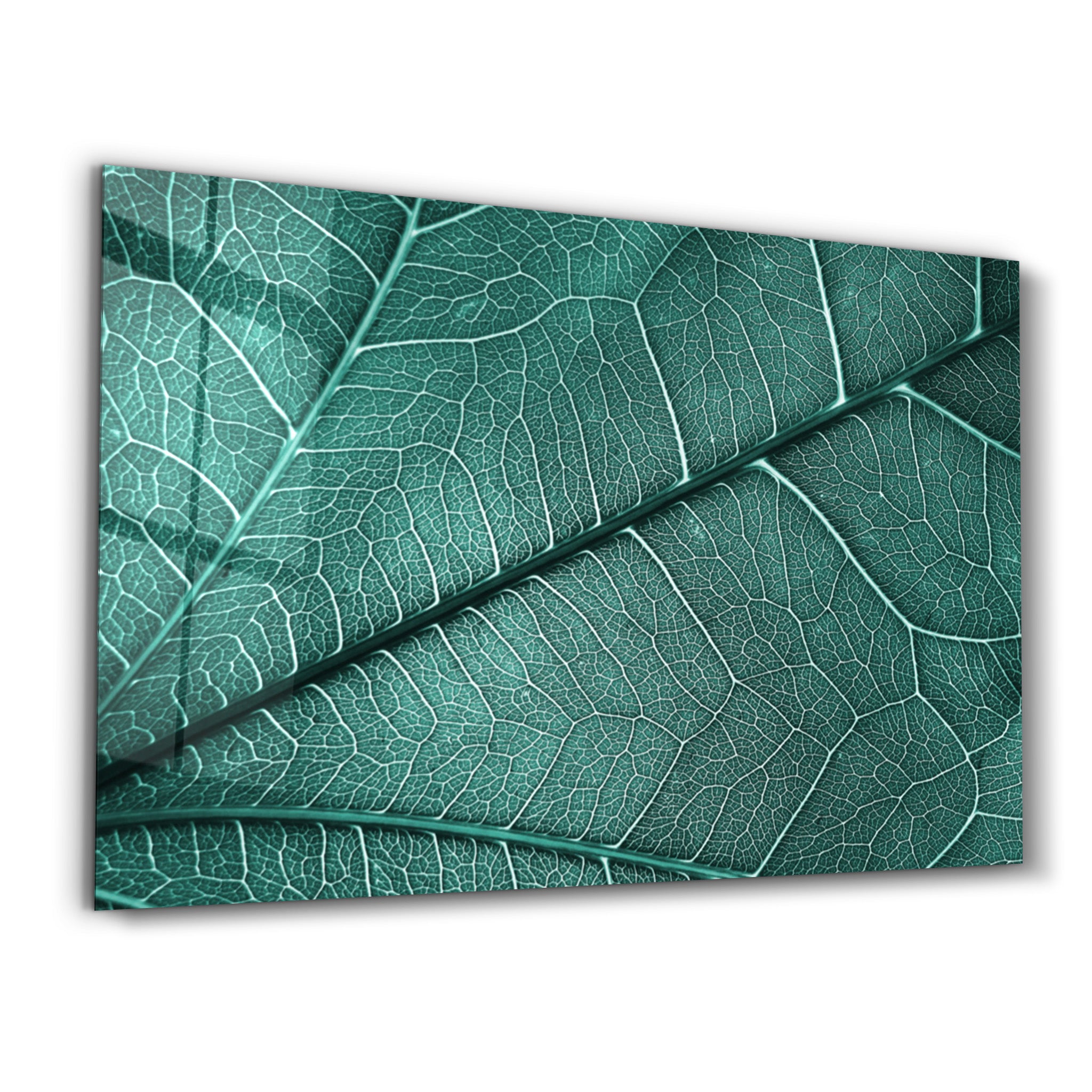 ・"Green Leaf 4"・Glass Wall Art - ArtDesigna Glass Printing Wall Art