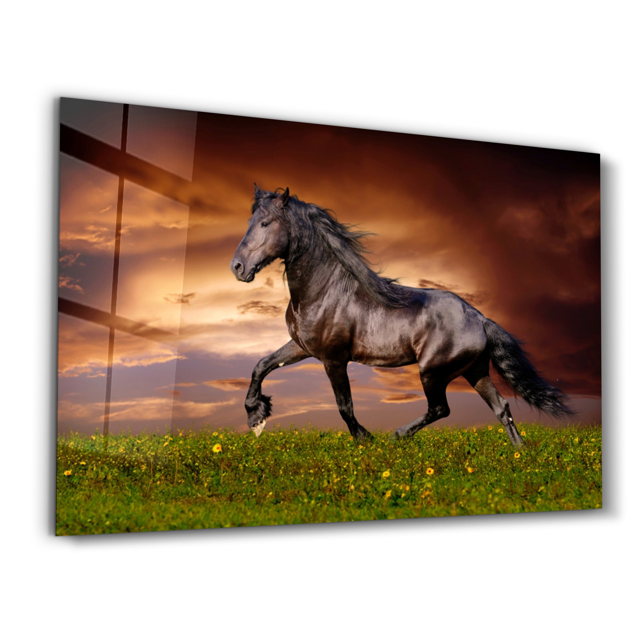 ・"Horse in the Wind"・Glass Wall Art - ArtDesigna Glass Printing Wall Art