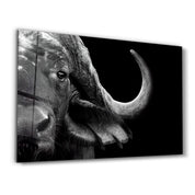 Buffalo | Glass Wall Art - ArtDesigna Glass Printing Wall Art