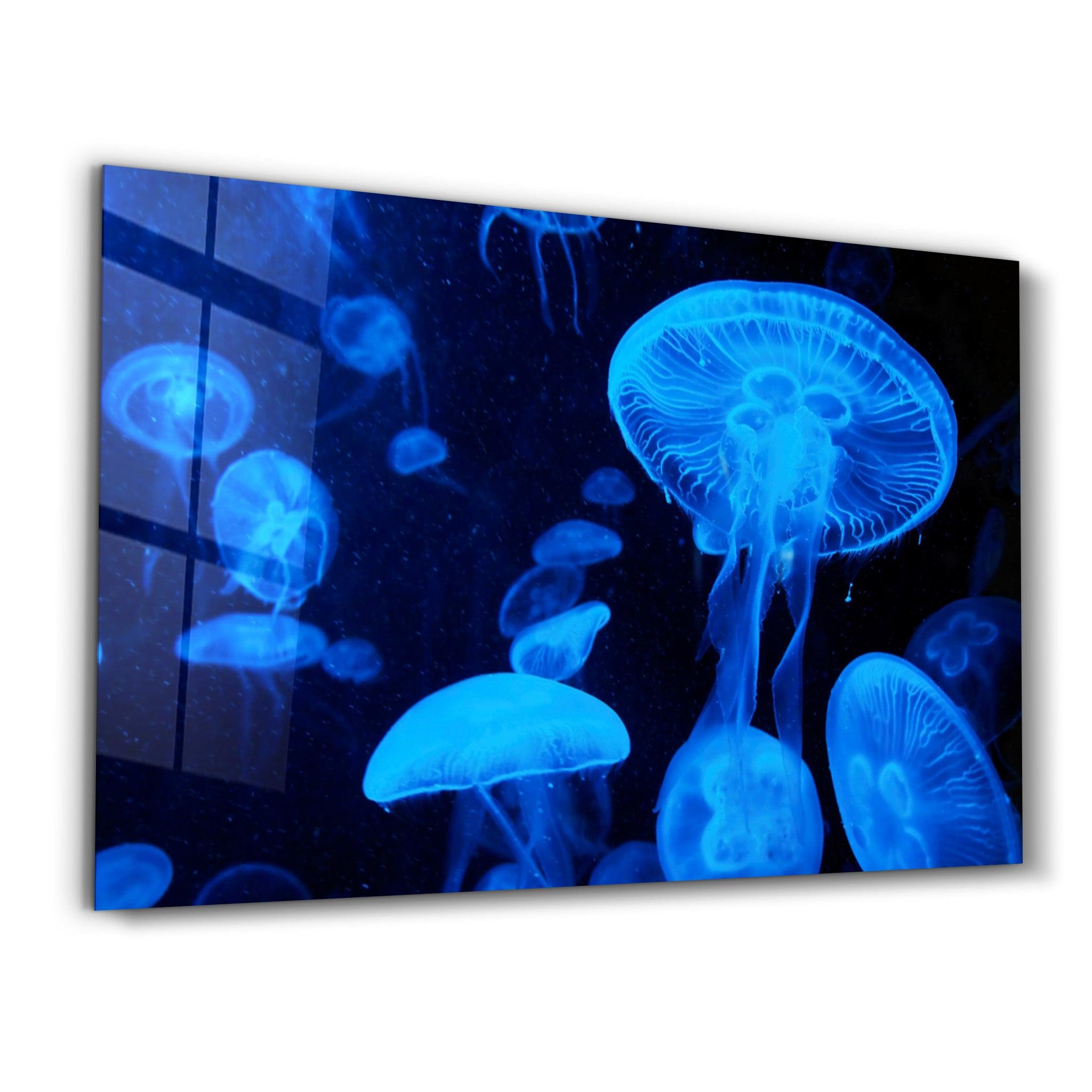 Blue Jellyfish | Glass Wall Art - ArtDesigna Glass Printing Wall Art
