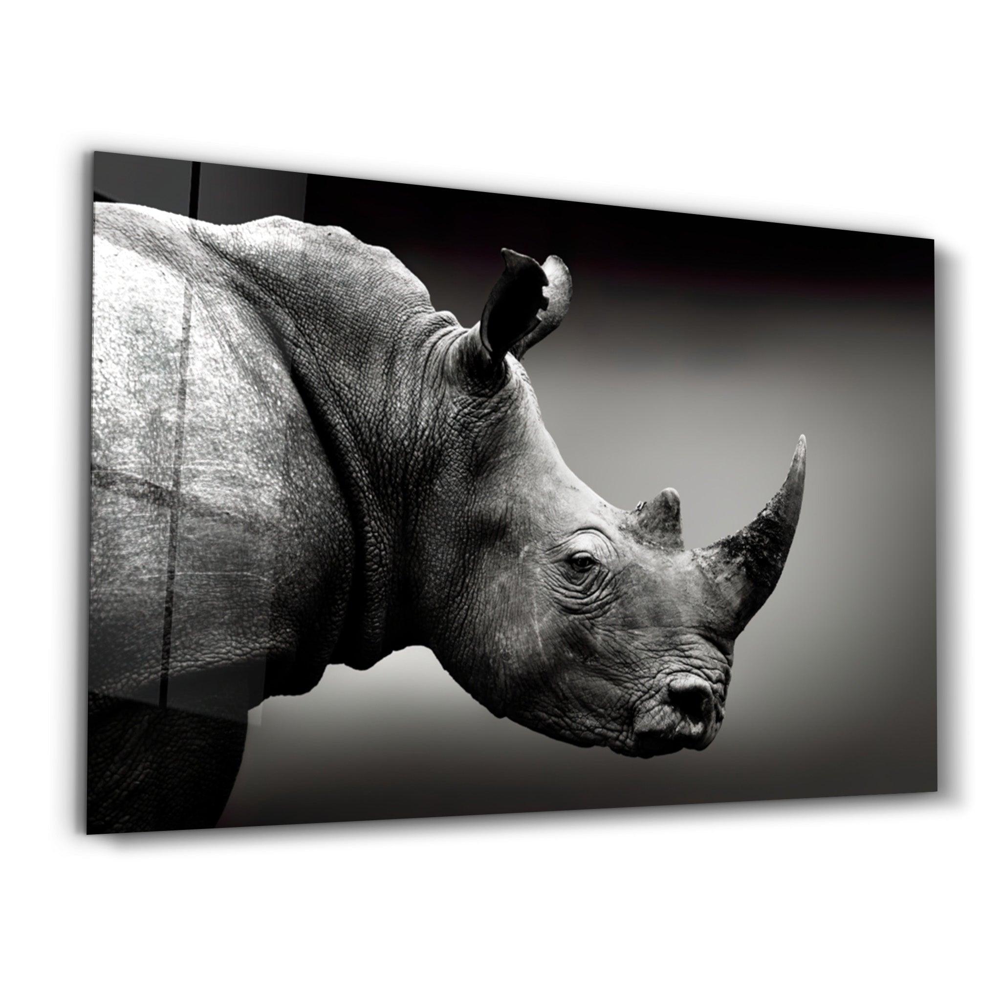 Rhino V2 | Glass Wall Art - ArtDesigna Glass Printing Wall Art