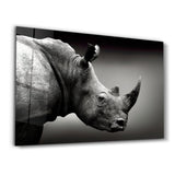 Rhino V2 | Glass Wall Art