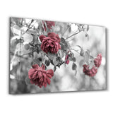 Rosen – Glasbild