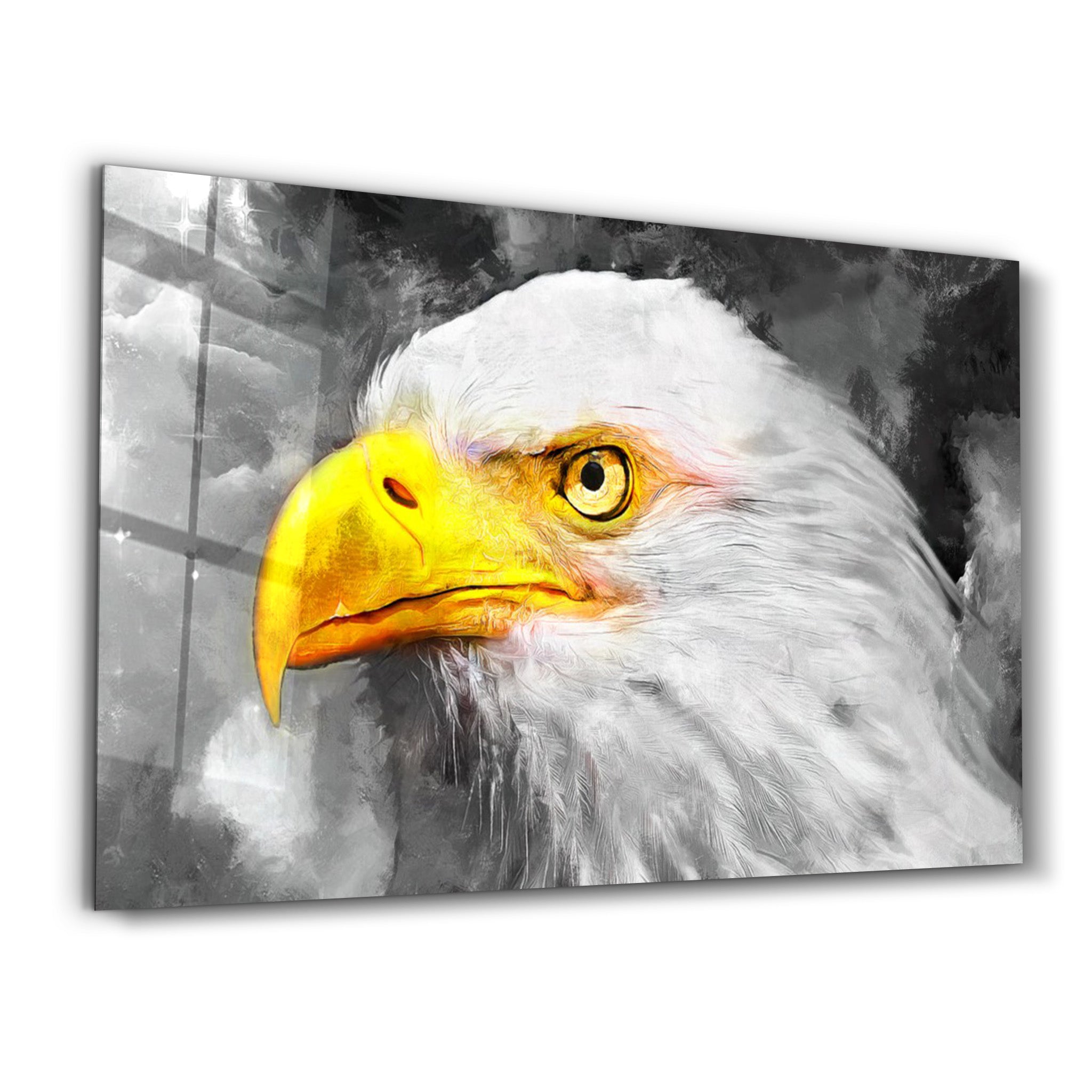 ・"Mountain Eagle"・Glass Wall Art - ArtDesigna Glass Printing Wall Art