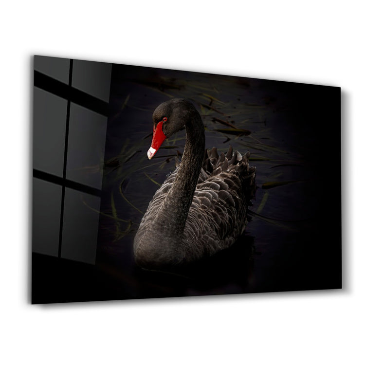 ・"Black Goose"・Glass Wall Art - ArtDesigna Glass Printing Wall Art